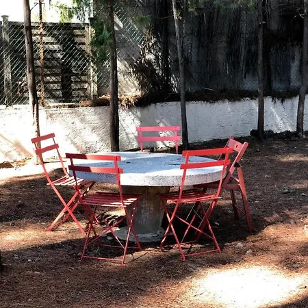 T3 Au Milieu Des Pins, Terrasse Sud, Vue Mer, A Pieds, Fibre Et Garage Prive Inclus Les Lecques